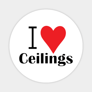 Ceiling Fan! Magnet